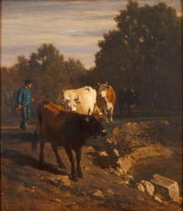 Ritorno alla luce del tramonto